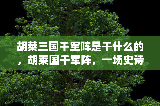 胡莱三国千军阵是干什么的图片