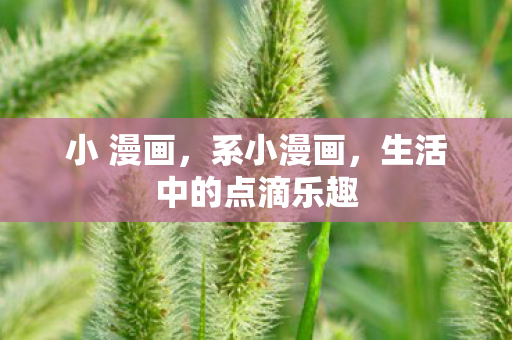 生活中的点滴乐趣图片