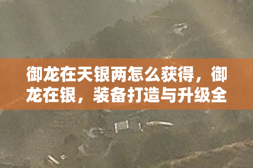 御龙在天银两怎么获得图片