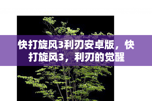 快打旋风3利刃安卓版图片