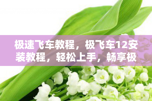 极飞车12安装教程图片