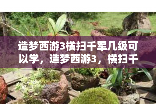 造梦西游3横扫千军几级可以学图片