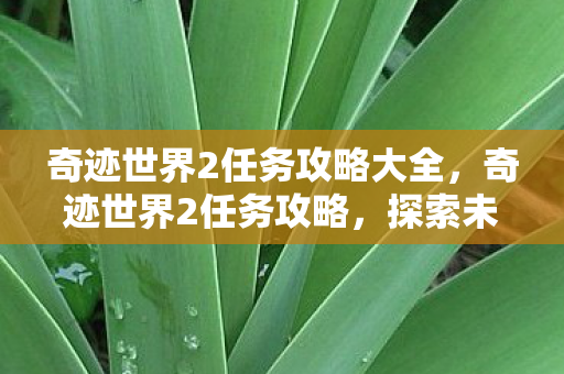 奇迹世界2任务攻略大全图片
