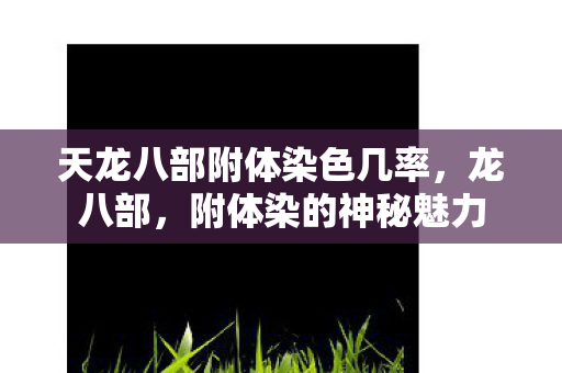天龙八部附体染色几率图片