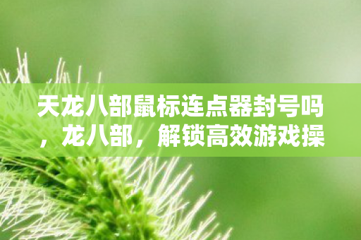 解锁高效游戏操作的秘密武器图片