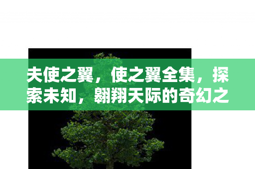 翱翔天际的奇幻之旅图片