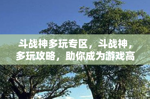 助你成为游戏高手图片