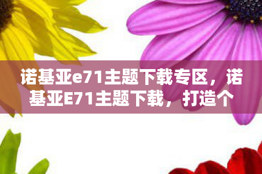 诺基亚e71主题下载专区，诺基亚E71主题下载，打造个性化手机体验