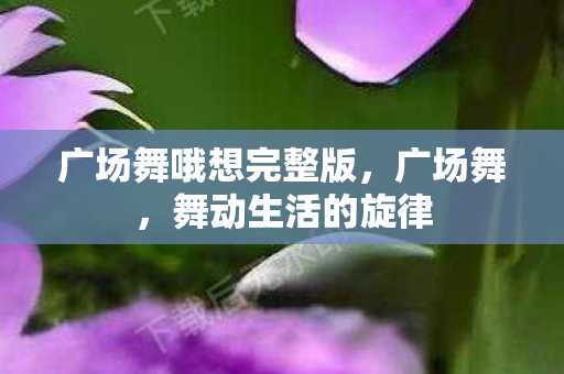 广场舞哦想完整版，广场舞，舞动生活的旋律