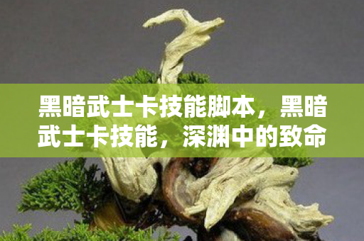 黑暗武士卡技能脚本，黑暗武士卡技能，深渊中的致命艺术