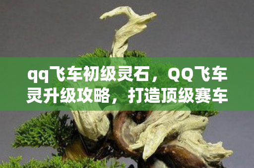 QQ飞车灵升级攻略图片