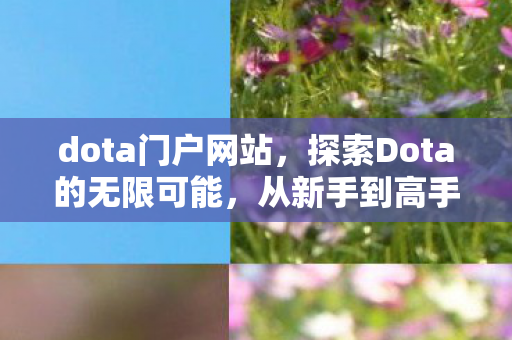 从新手到高手的全方位指南图片