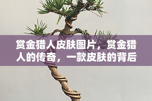 一款皮肤的背后故事图片