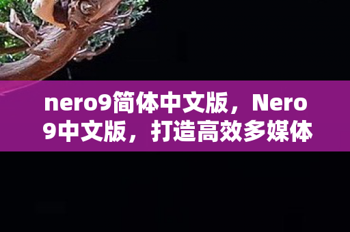 打造高效多媒体编辑体验图片