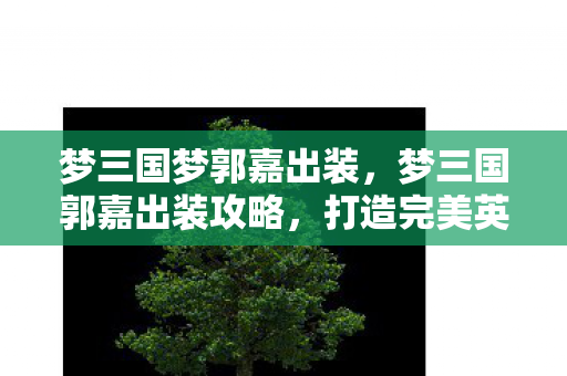 梦三国梦郭嘉出装，梦三国郭嘉出装攻略，打造完美英雄装备组合