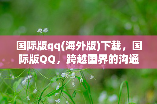 跨越国界的沟通桥梁图片