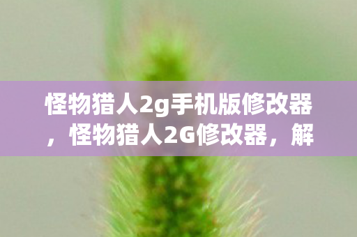 怪物猎人2g手机版修改器图片