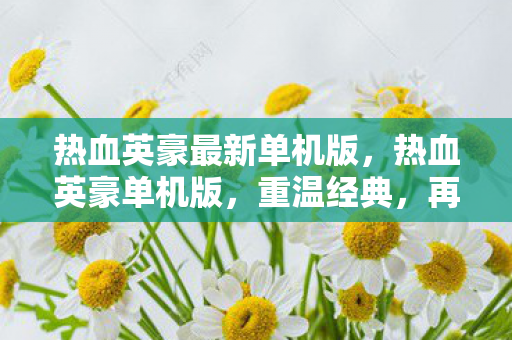 热血英豪最新单机版图片