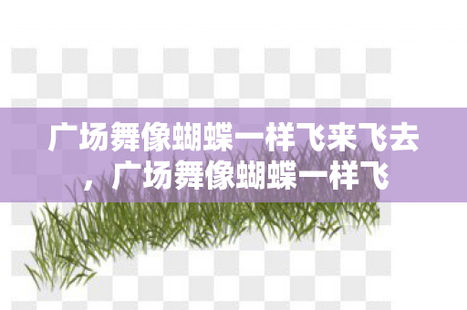 广场舞像蝴蝶一样飞来飞去，广场舞像蝴蝶一样飞