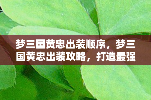 梦三国黄忠出装顺序，梦三国黄忠出装攻略，打造最强射手装备组合