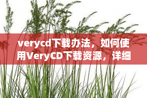 verycd下载办法，如何使用VeryCD下载资源，详细步骤与注意事项