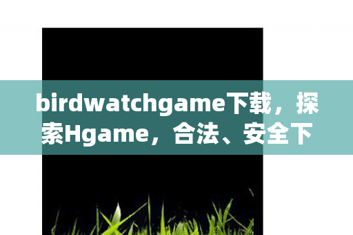 birdwatchgame下载图片