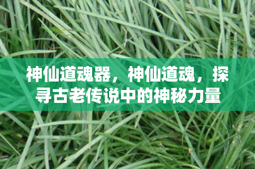 探寻古老传说中的神秘力量图片