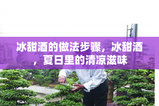 冰甜酒的做法步骤图片