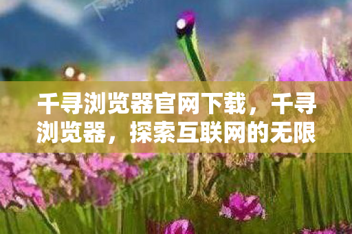 探索互联网的无限可能图片