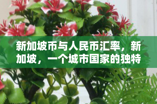 一个城市国家的独特魅力与治理智慧图片