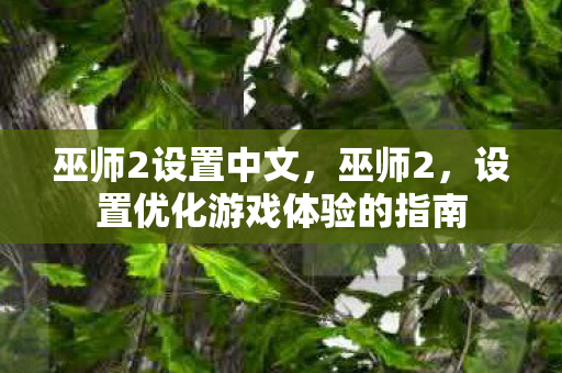 设置优化游戏体验的指南图片