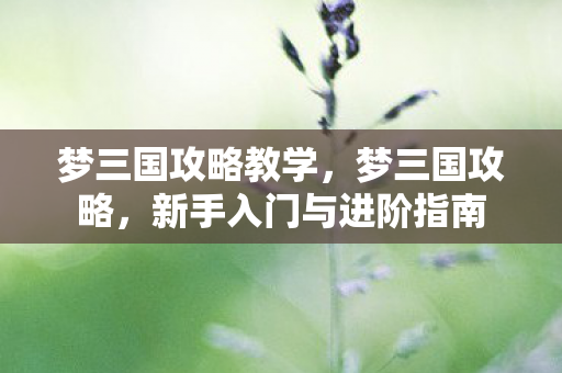 梦三国攻略教学，梦三国攻略，新手入门与进阶指南