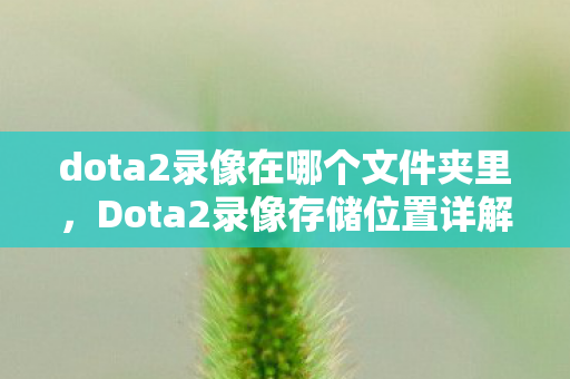 dota2录像在哪个文件夹里图片