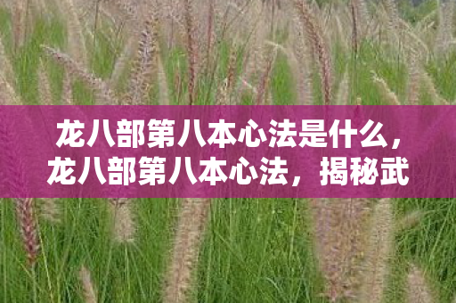 龙八部第八本心法是什么图片