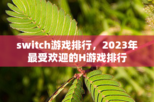 2023年最受欢迎的H游戏排行图片