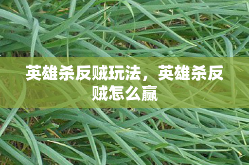 英雄杀反贼怎么赢图片