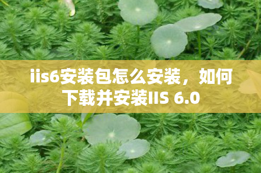 如何下载并安装IIS 6图片
