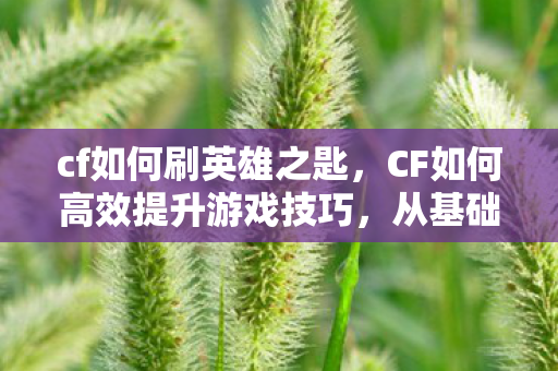 CF如何高效提升游戏技巧图片
