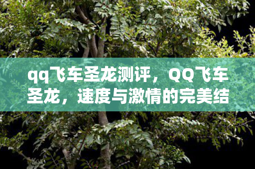 速度与激情的完美结合图片