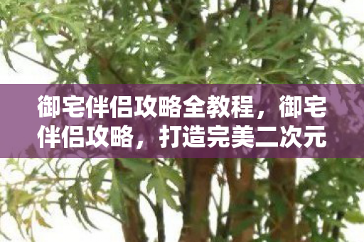 御宅伴侣攻略全教程图片