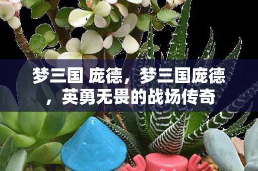 梦三国 庞德，梦三国庞德，英勇无畏的战场传奇