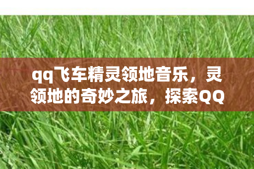 探索QQ飞车中的神秘领域图片