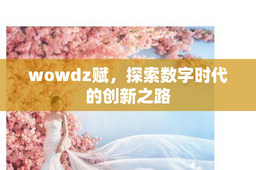 探索数字时代的创新之路图片