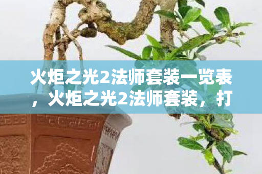 火炬之光2法师套装一览表图片