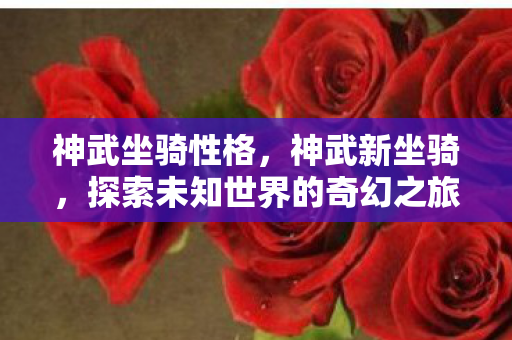 神武坐骑性格，神武新坐骑，探索未知世界的奇幻之旅