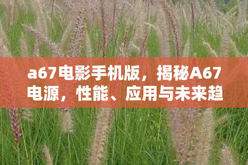 a67电影手机版，揭秘A67电源，性能、应用与未来趋势