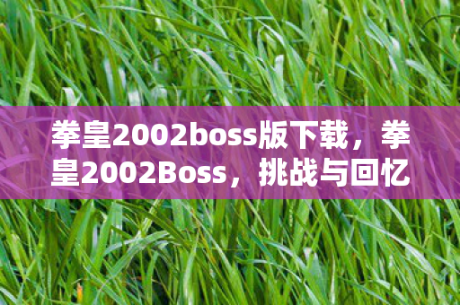 拳皇2002boss版下载图片
