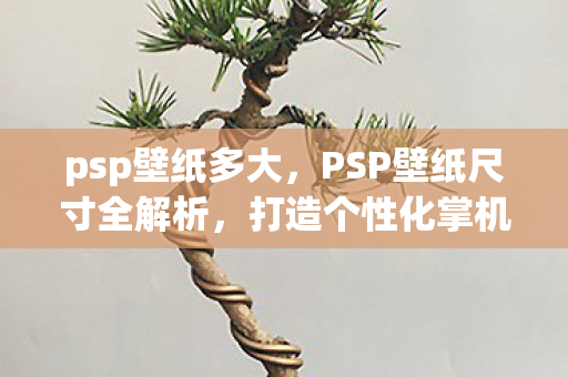PSP壁纸尺寸全解析图片