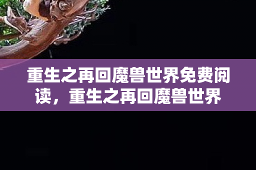 重生之再回魔兽世界免费阅读图片