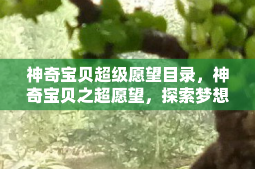 神奇宝贝超级愿望目录图片